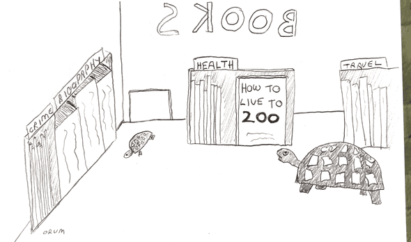 Tortoise bookshop