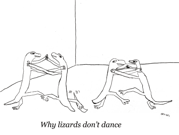 Lizards