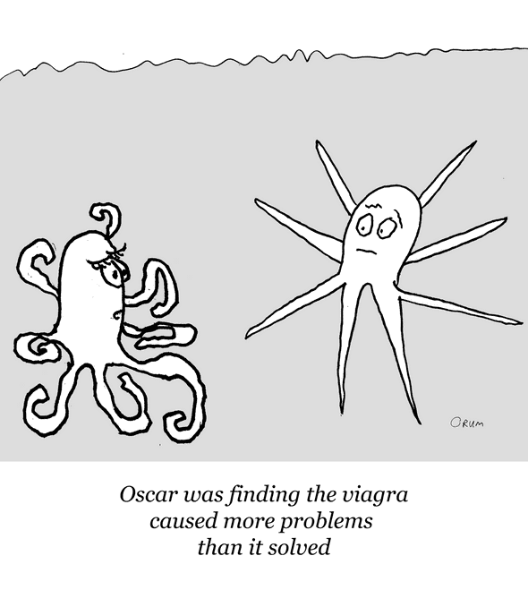 Octopi