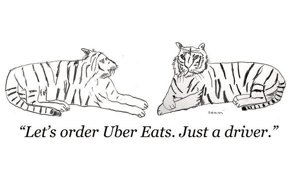 Tiger dinner