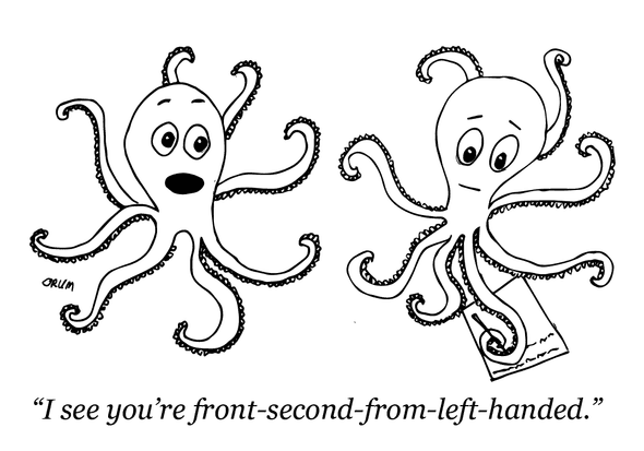 Octopus writing