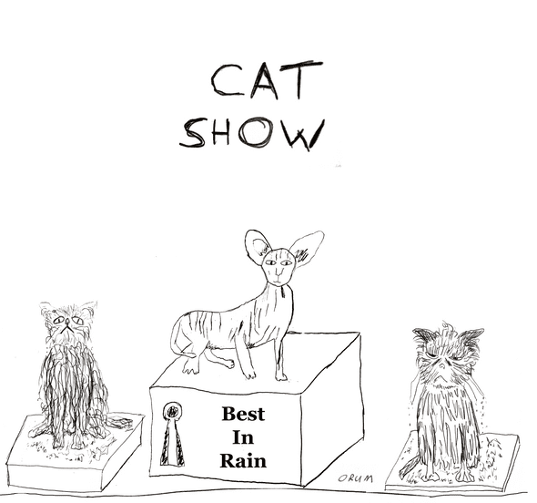 Cat show